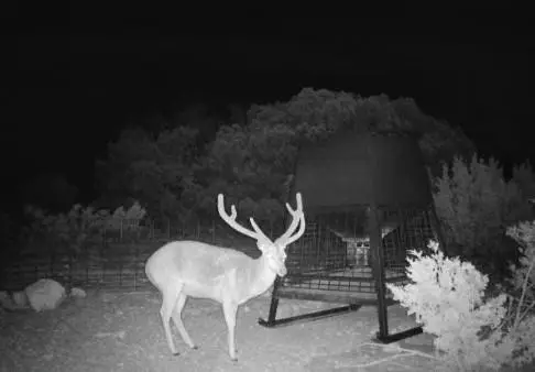 cr 450 Cr 450, Rocksprings, TX 78880 - Image #1