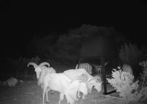 cr 450 Cr 450, Rocksprings, TX 78880 - Image #3