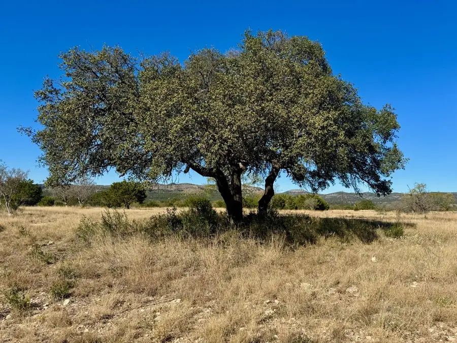 19240 W Hwy 337, Camp Wood, TX 78833 - Image #2