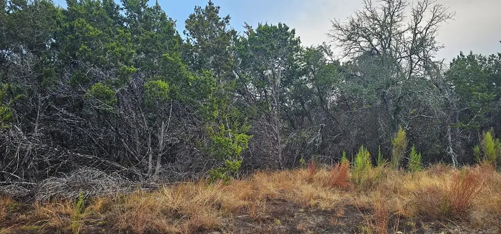 TBD Ropers Lane, Bandera, TX 78003 - Image #1