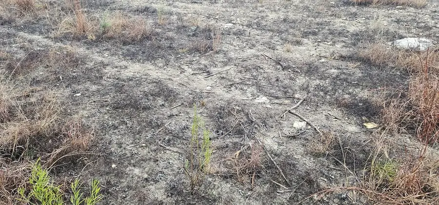 TBD Ropers Lane, Bandera, TX 78003 - Image #2