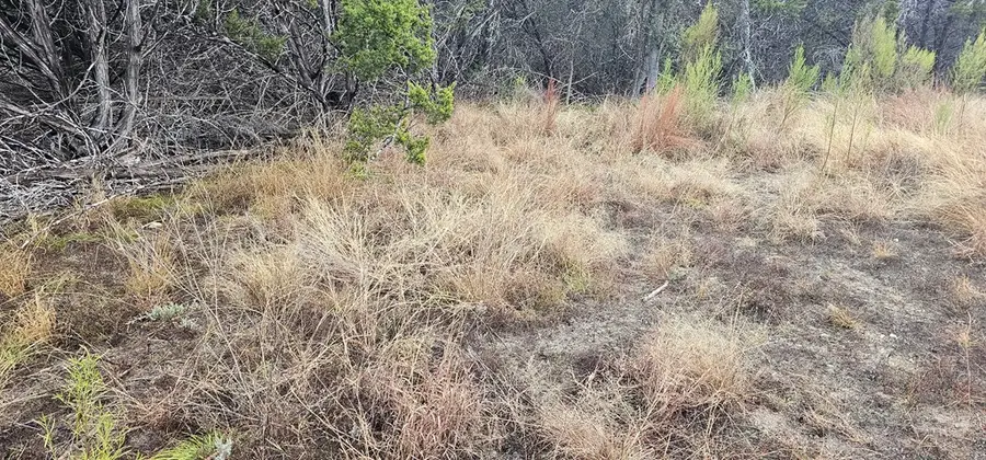 TBD Ropers Lane, Bandera, TX 78003 - Image #3