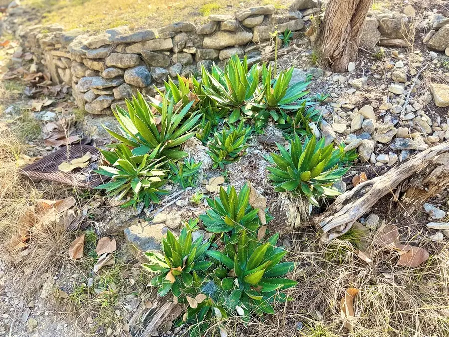 204 Aqua Vista Dr, Kerrville, TX 78028 - Image #2