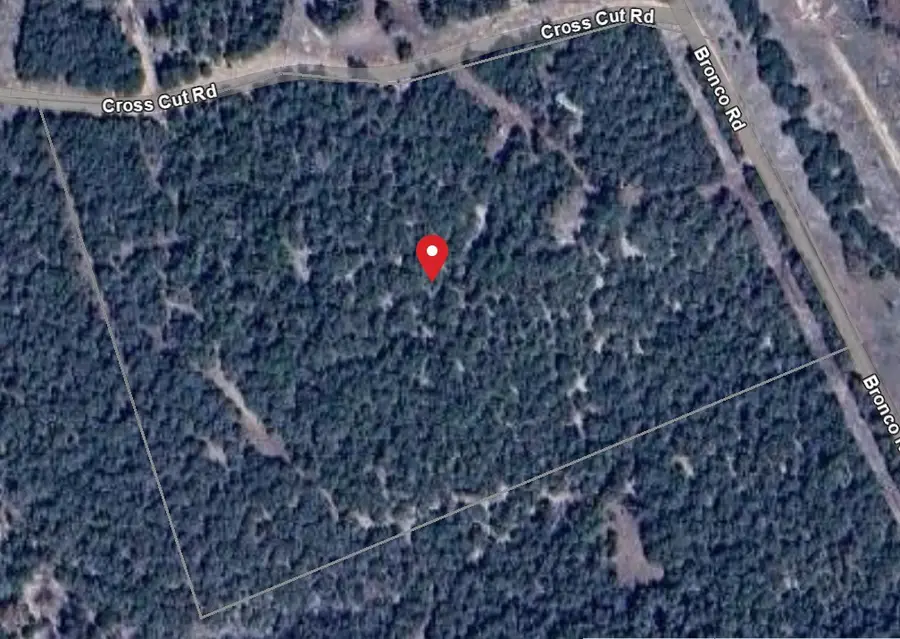 301 Cross Cut, Hunt, TX 78024 - Image #2