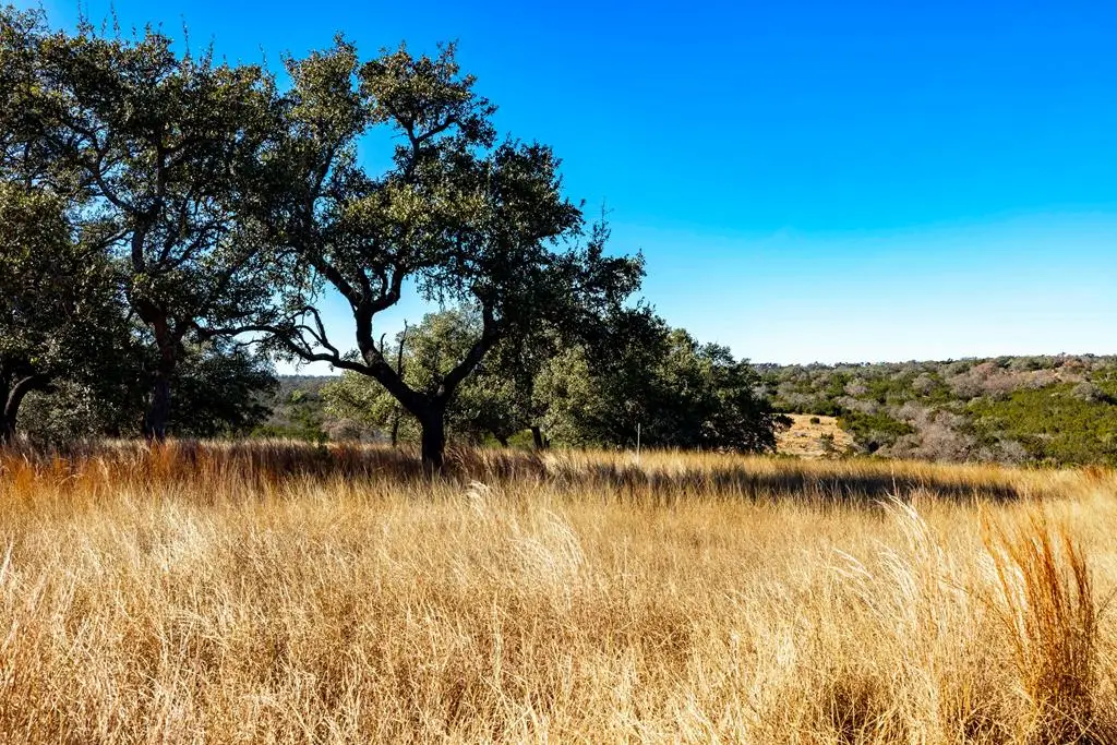 Lot 13 Pitre Springs Rd, Kerrville, TX 78028 - Image #1
