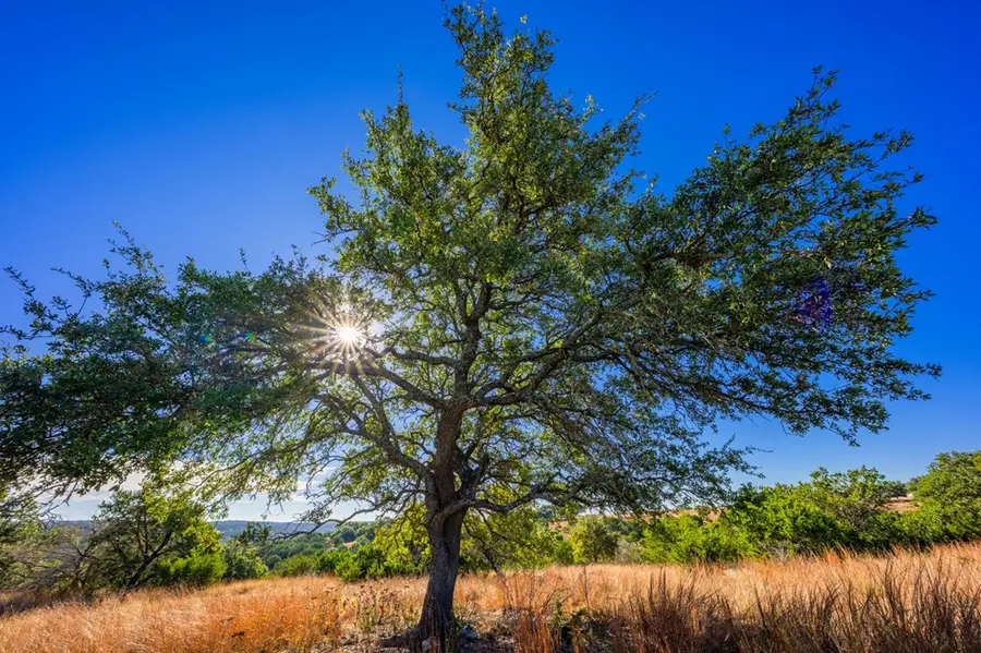 LOT 130 Dillon Ridge Dr, Kerrville, TX 78028 - Image #3