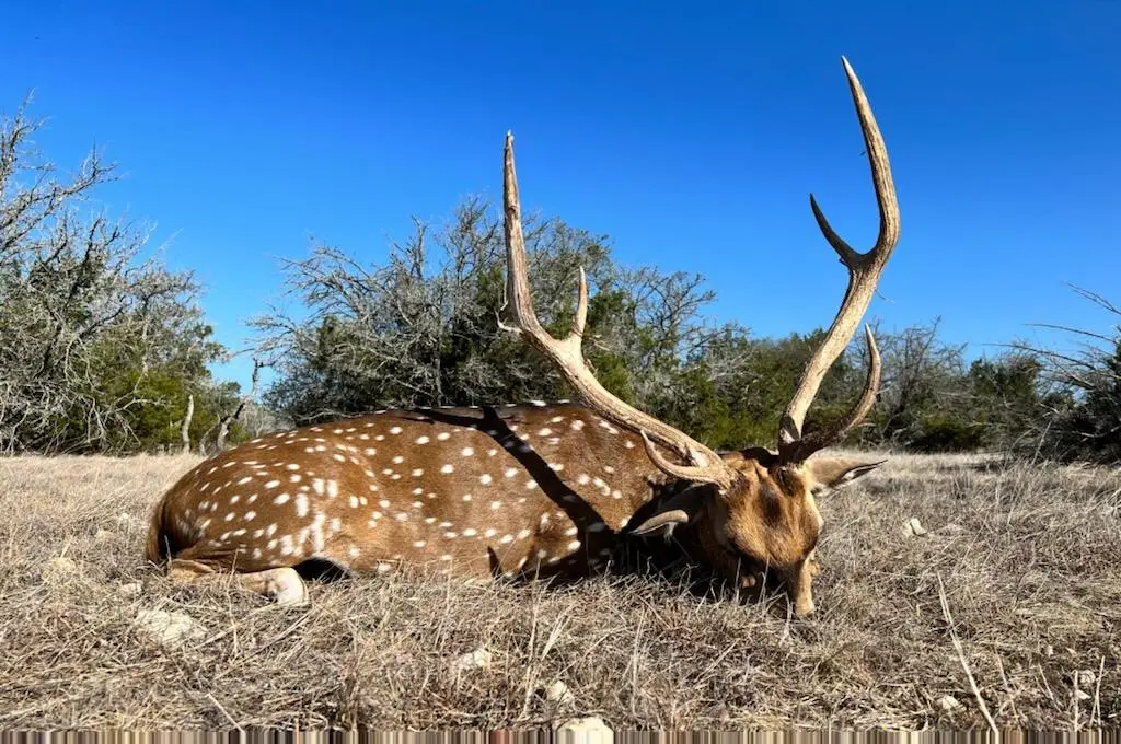 1029 Fairview Rd, Rocksprings, TX 78880 - Image #1