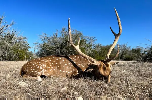 1029 Fairview Rd, Rocksprings, TX 78880