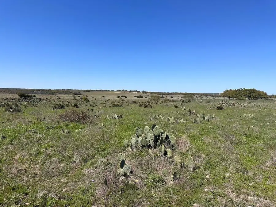 2112 Turkey Ridge Lane, Harper, TX 78631 - Image #3