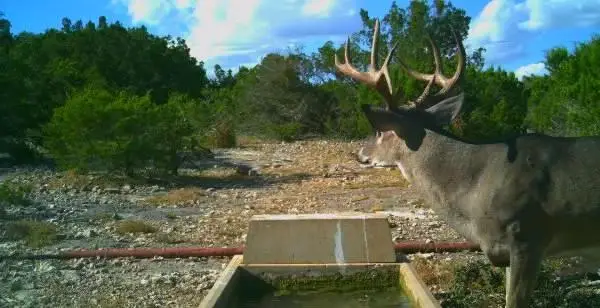 350 Cr 350, Barksdale, TX 78828