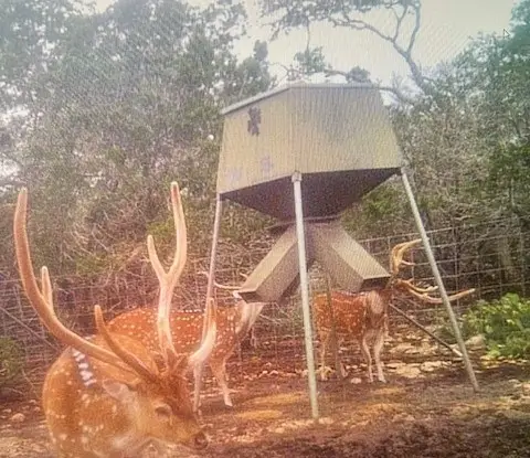 350 Cr 350, Barksdale, TX 78828 - Image #2