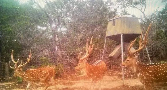 350 Cr 350, Barksdale, TX 78828 - Image #3