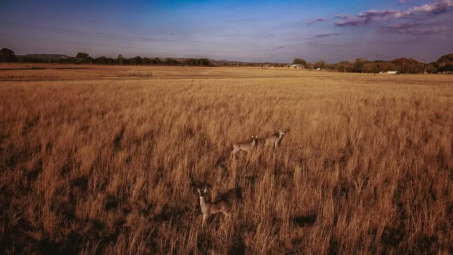 201 Verde Creek, Center Point, TX 78010 - Image #2