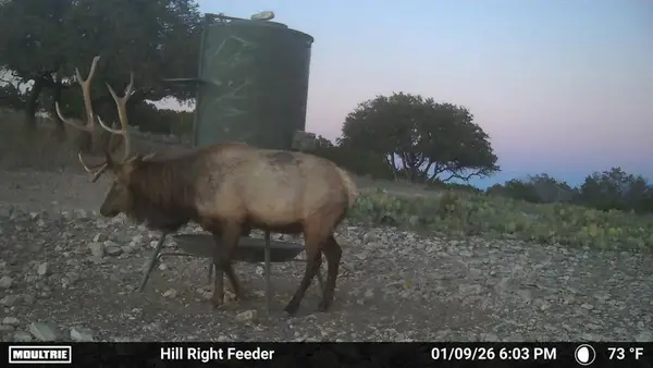 SD 20120 Other, Rocksprings, TX 78880