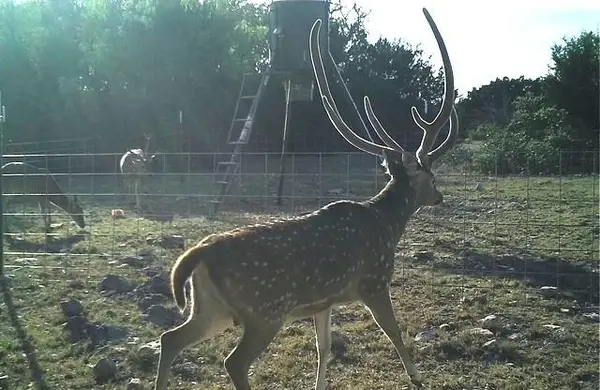 Lot 2 Hwy 55, Rocksprings, TX 78880