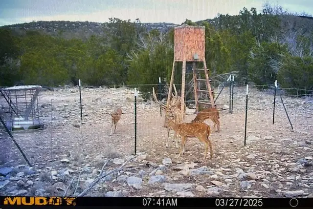 74,75,76 Other, Rocksprings, TX 78880 - Image #2