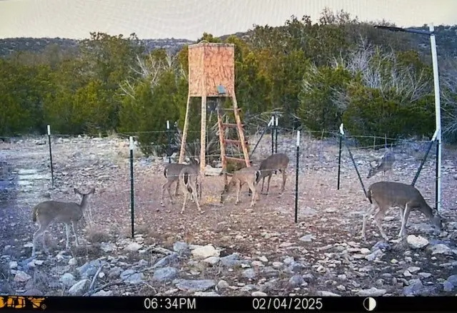 74,75,76 Other, Rocksprings, TX 78880 - Image #3