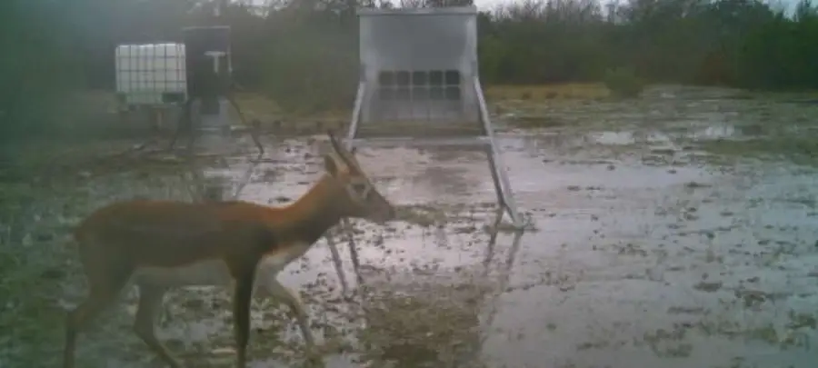 Lot 1 Other, Rocksprings, TX 78880 - Image #2