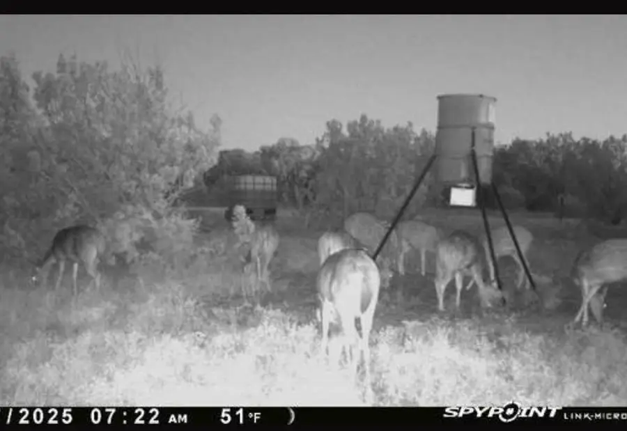 Lot 1 Other, Rocksprings, TX 78880 - Image #3