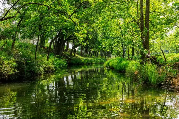 199 Lexington, Fredericksburg, TX 78624