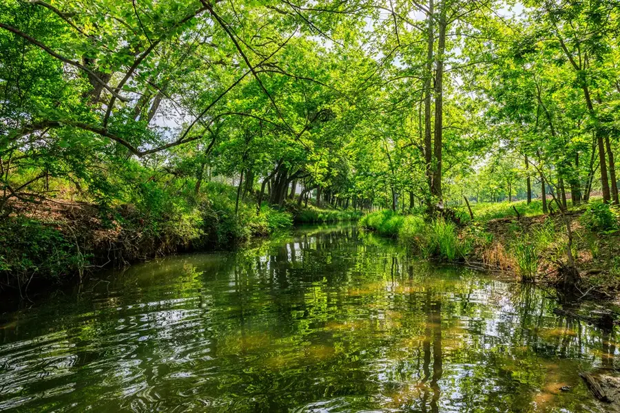 199 Lexington, Fredericksburg, TX 78624 - Image #2