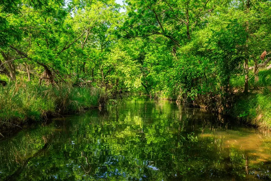 199 Lexington, Fredericksburg, TX 78624 - Image #3