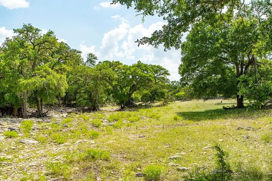 21882 Fm 2093, Harper, TX 78631 - #2