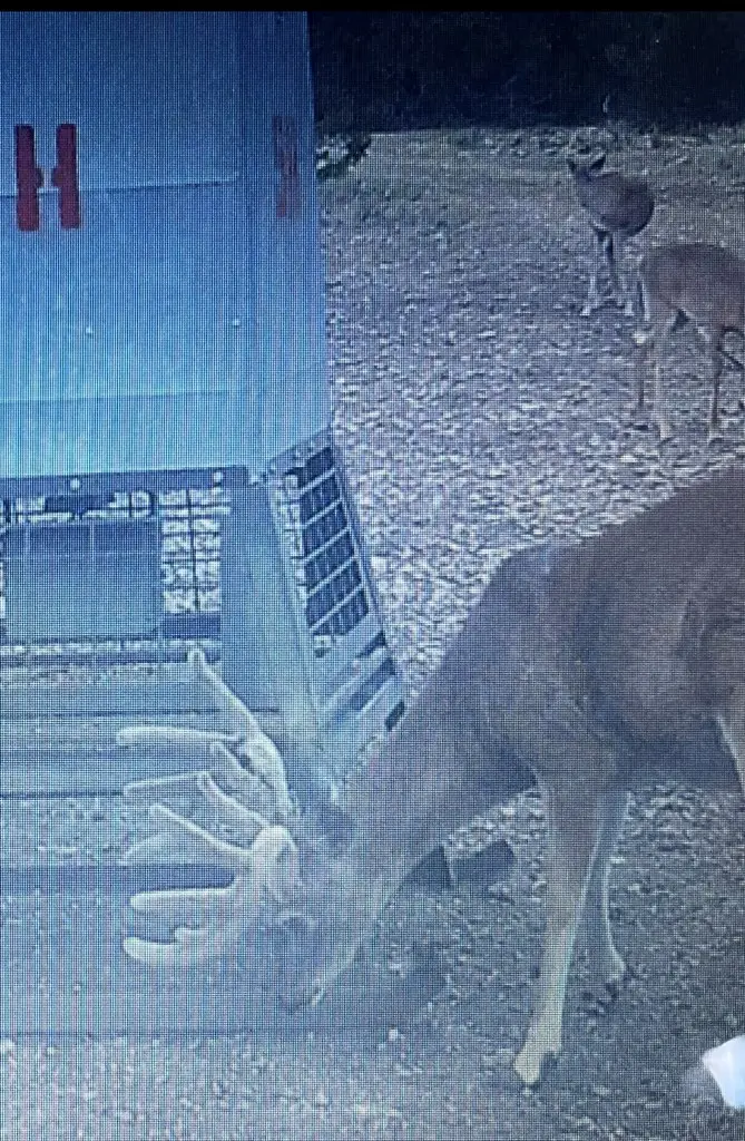 5&6 Sd 45125, Rocksprings, TX 78880 - #2