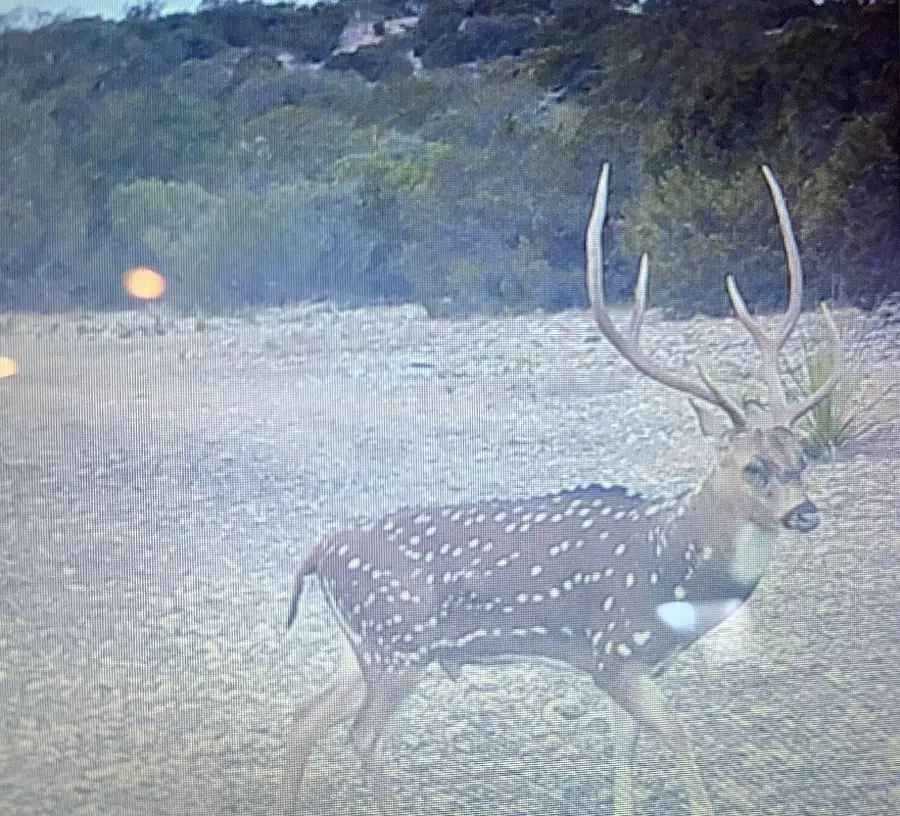 5&6 Sd 45125, Rocksprings, TX 78880 - #3