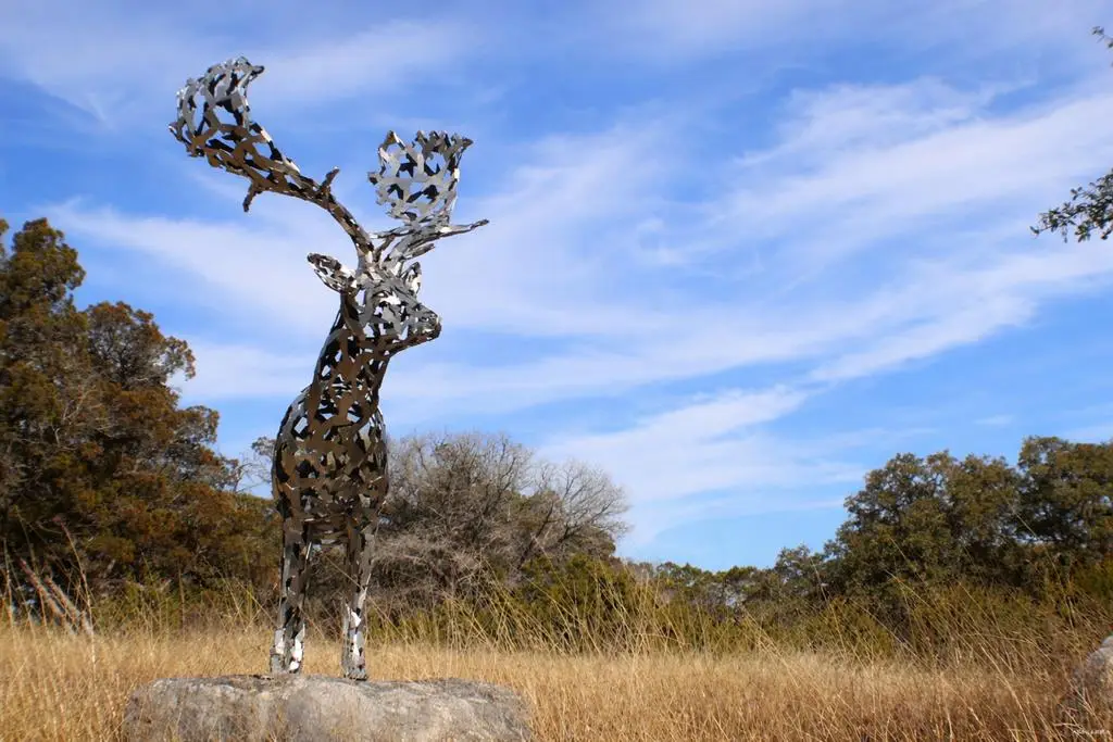 Lot 6 Gene Walker Trail, Hunt, TX 78024 - Image #1