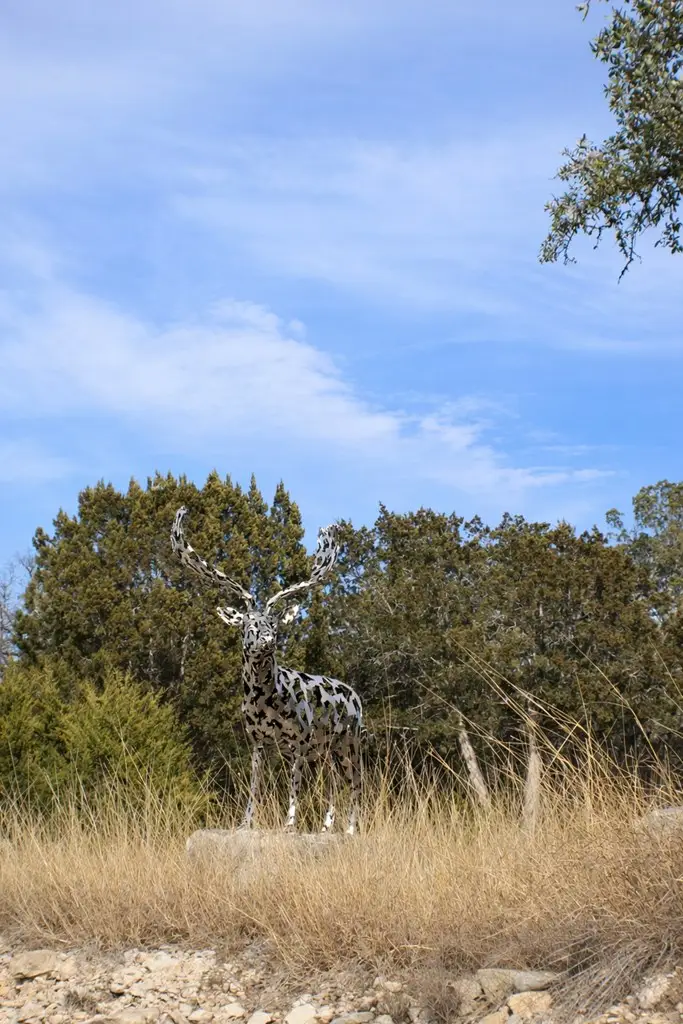 Lot 6 Gene Walker Trail, Hunt, TX 78024 - Image #2