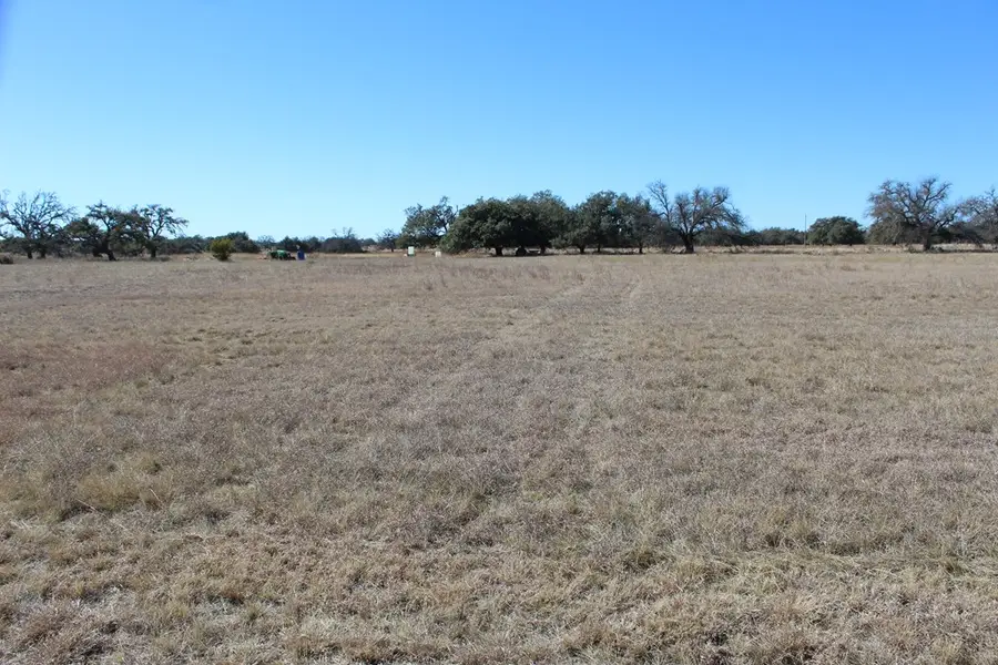 184 Lipan Loop, Harper, TX 78631 - #2