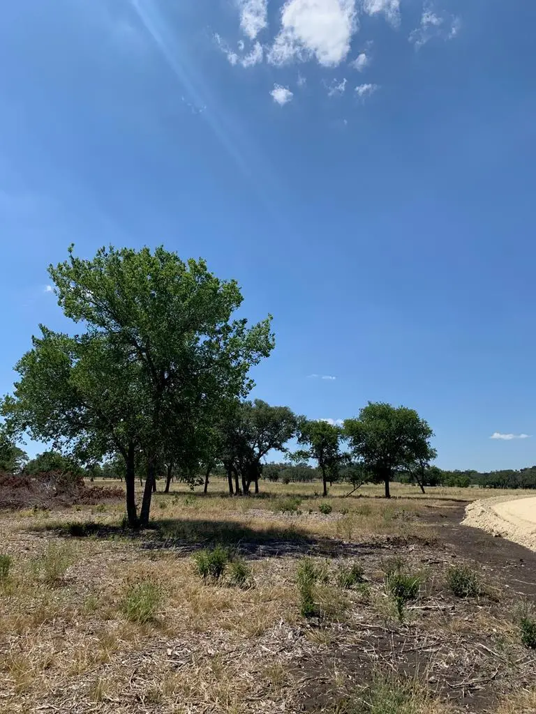 15 Coldwater Dr, Camp Verde, TX 78010 - #1