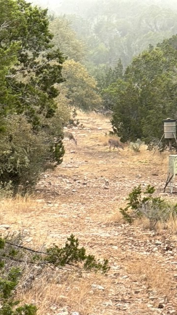 0000 Cr 310, Rocksprings, TX 78880 - #2