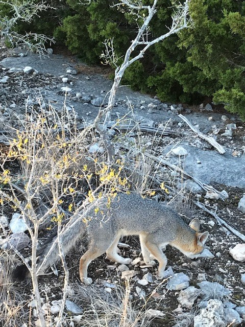 0000 Cr 310, Rocksprings, TX 78880 - #3