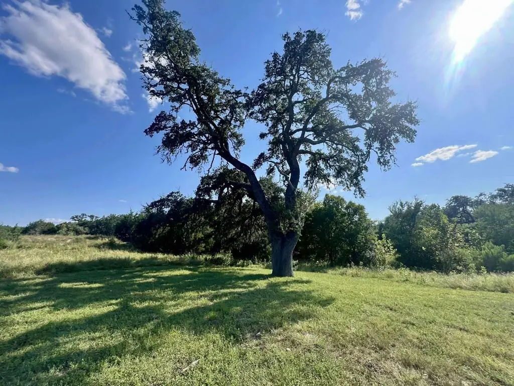 Trac 116 Winans Creek Rd, Bandera, TX 78003 - #1