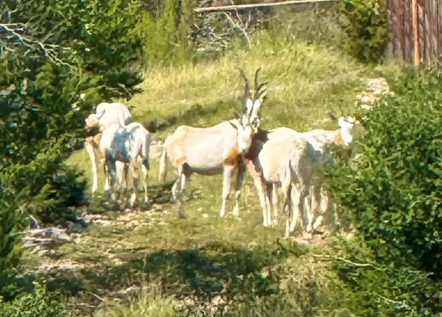 0 Winn Ranch Way, Kerrville, TX 78028 - #2