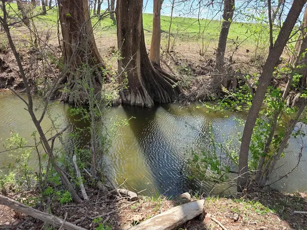 609 Water St, Comfort, TX 78013