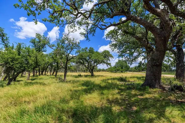 Lot 88 Stock Pond Dr, Harper, TX 78624