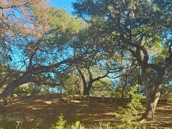 140 Spring Branch Dr., Leakey, TX 78873