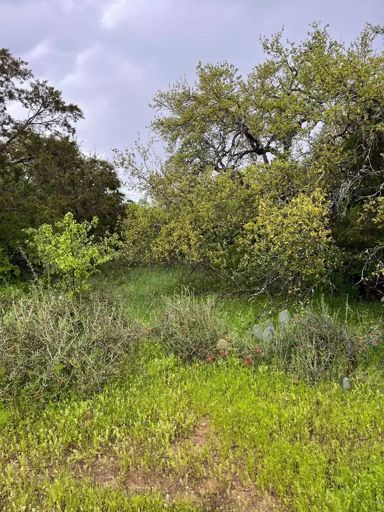 TBD Greencastle Dr, Granite Shoals, TX 78654 - #3