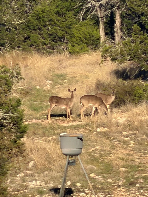 462 Schenk-witkowski Rd, Rocksprings, TX 78880