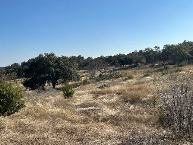 135 Cattlemans Crossing Dr, Harper, TX 78631 - #3