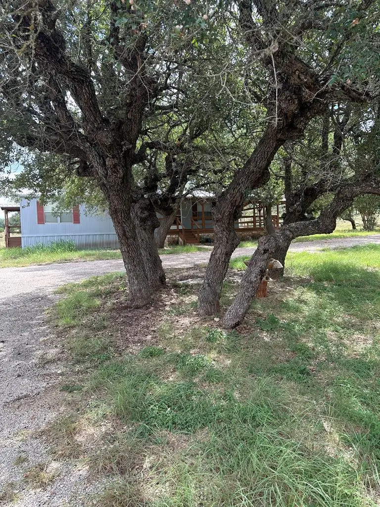564 Cherry Springs Rd, Hunt, TX 78024 - #2