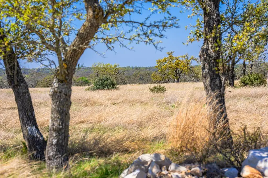Lot 114 Stock Pond Dr, Harper, TX 78631 - #1
