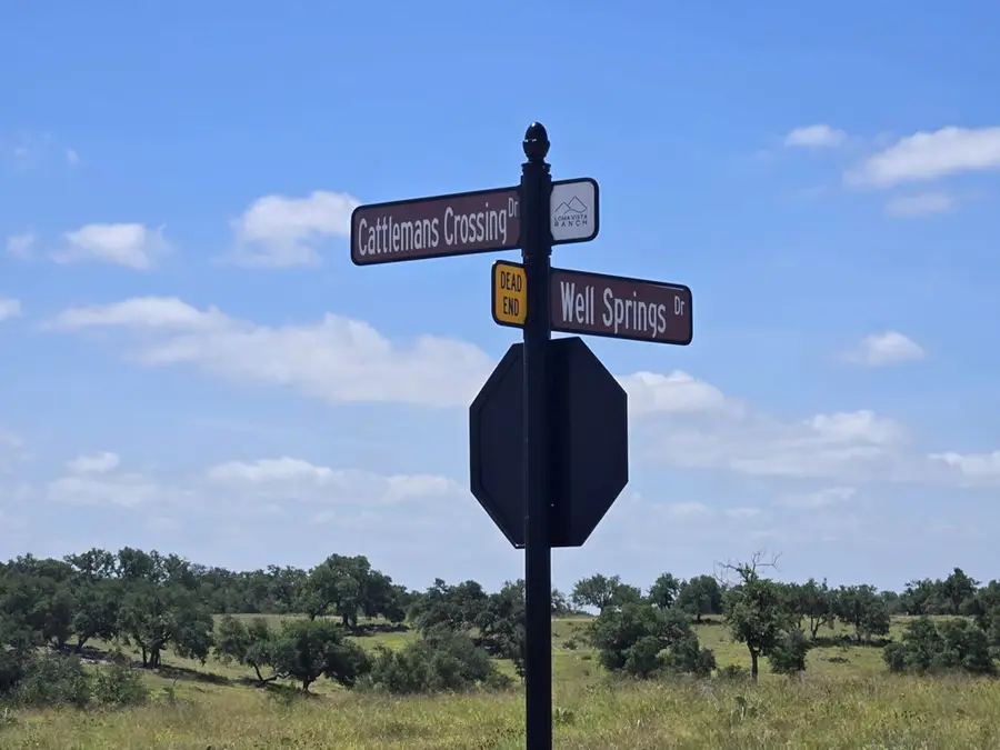 79 Cattlemans Crossing Dr, Kerrville, TX 78028 - #2