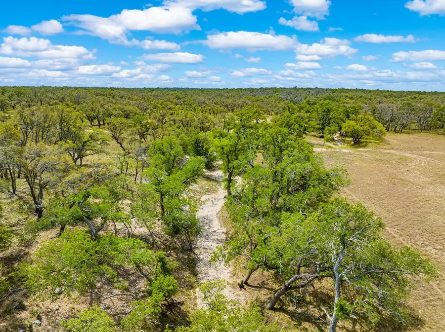 1379 Barker-rogers Rd, Harper, TX 78631 - #3