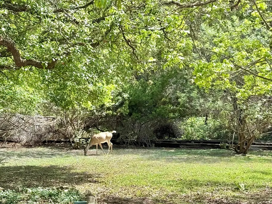 1310 Warbler Dr, Kerrville, TX 78028 - #2