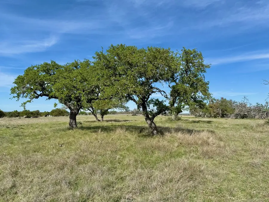 Lot 85 Stock Pond Dr, Harper, TX 78631 - #2