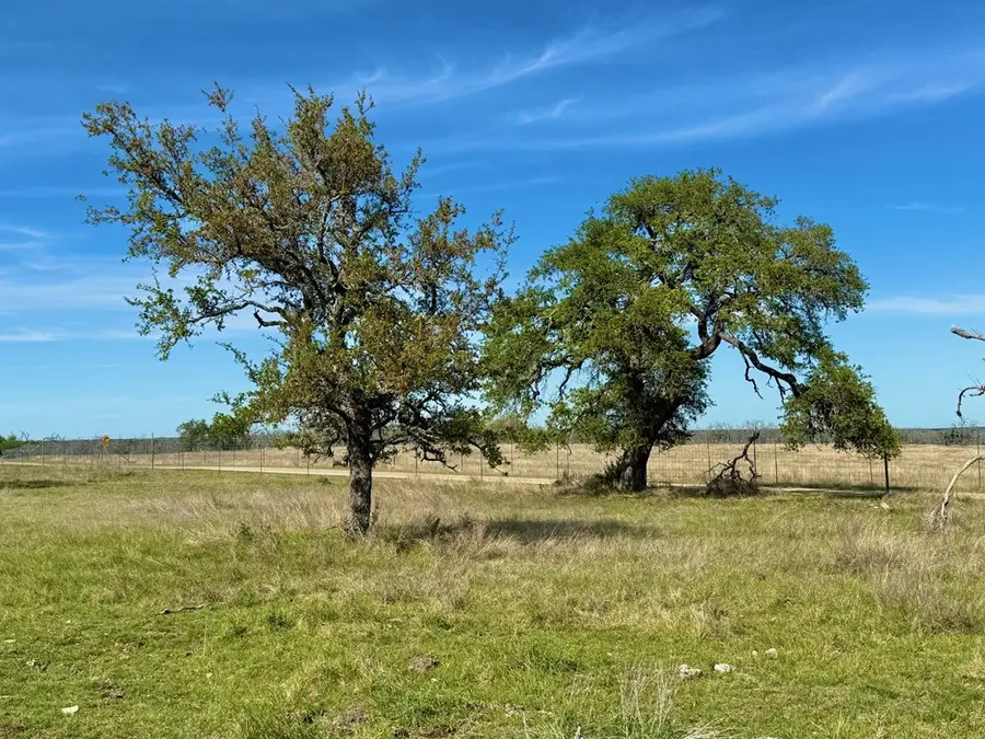 Lot 85 Stock Pond Dr, Harper, TX 78631 - #3